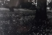 thumb_IMG_20220717_163932.jpg