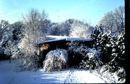 thumb_Image2.jpg