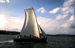thumb_trixolar_028.jpg