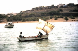 thumb_trixolar_029.jpg