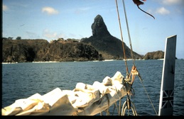 thumb_trixolar_033.jpg