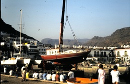 thumb_trixolar_039.jpg