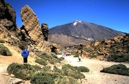 thumb_trixolar_044.jpg