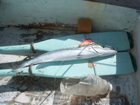 thumb_07costa_rica_603.jpg
