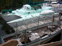 thumb_07costa_rica_811.jpg