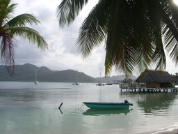 thumb_oct05_to_Panama_167.jpg