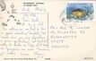 thumb_198-_PostCardGovtBldg.jpg