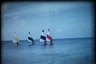 thumb_Cine_1967-5_Grand_Turk_Flattie_Sails.jpg