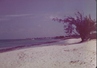thumb_Grand_Turk_1978_03_Beach.jpg