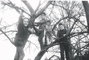 thumb_1968_01_Four_Kids_in_a_Tree.jpg