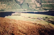 thumb_IMG_20220813_233636.jpg