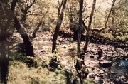 thumb_IMG_20220813_233701.jpg