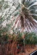 thumb_IMG_20220814_120644.jpg
