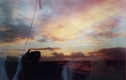 thumb_IMG_20220814_121416.jpg