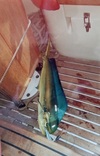 thumb_IMG_20220814_121451.jpg