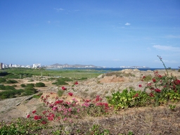 thumb_oct05_to_Panama_008.jpg