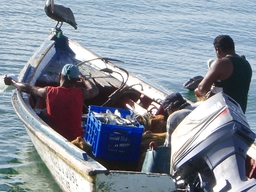 thumb_oct05_to_Panama_014.jpg