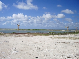 thumb_oct05_to_Panama_031.jpg