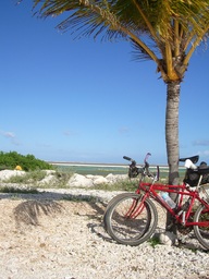 thumb_oct05_to_Panama_035.jpg