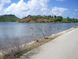 thumb_oct05_to_Panama_040.jpg