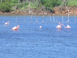 thumb_oct05_to_Panama_041.jpg