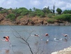 thumb_oct05_to_Panama_045.jpg