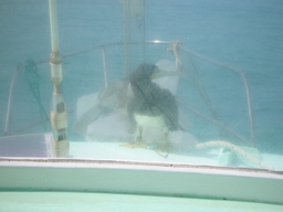 thumb_oct05_to_Panama_058.jpg