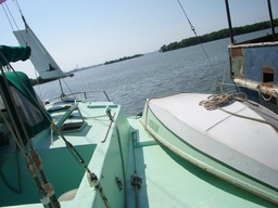 thumb_oct05_to_Panama_115.jpg