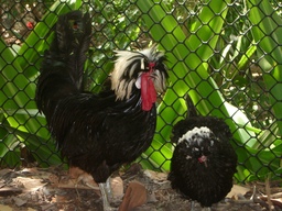 thumb_oct05_to_Panama_132.jpg