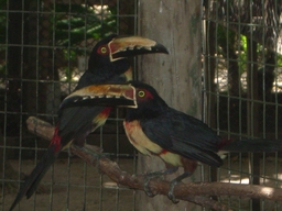thumb_oct05_to_Panama_133.jpg