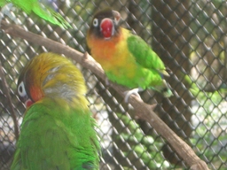 thumb_oct05_to_Panama_136.jpg