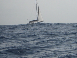 thumb_oct05_to_Panama_141.jpg