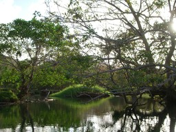 thumb_oct05_to_Panama_184.jpg