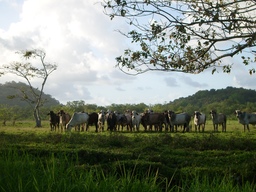 thumb_oct05_to_Panama_185.jpg