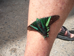 thumb_oct05_to_Panama_190.jpg