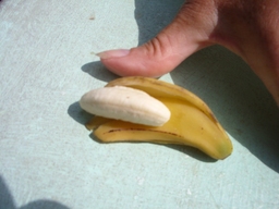 thumb_oct05_to_Panama_199.jpg