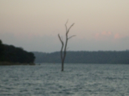 thumb_oct05_to_Panama_219.jpg