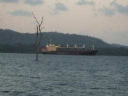 thumb_oct05_to_Panama_220.jpg