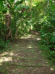 thumb_Venezuela_to_Panama_028.jpg