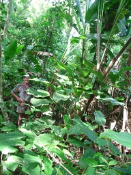 thumb_Venezuela_to_Panama_029.jpg