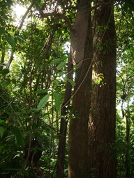 thumb_Venezuela_to_Panama_030.jpg