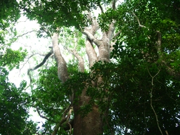 thumb_Venezuela_to_Panama_031.jpg
