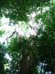 thumb_Venezuela_to_Panama_032.jpg