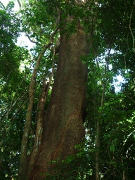 thumb_Venezuela_to_Panama_033.jpg