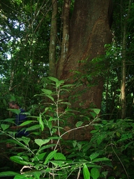 thumb_Venezuela_to_Panama_034.jpg