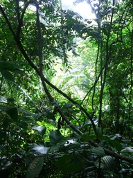 thumb_Venezuela_to_Panama_035.jpg