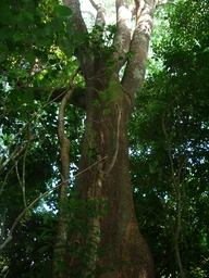 thumb_Venezuela_to_Panama_037.jpg