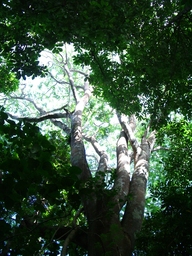 thumb_Venezuela_to_Panama_038.jpg