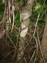 thumb_Venezuela_to_Panama_039.jpg