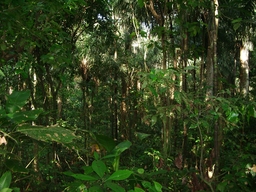thumb_Venezuela_to_Panama_040.jpg